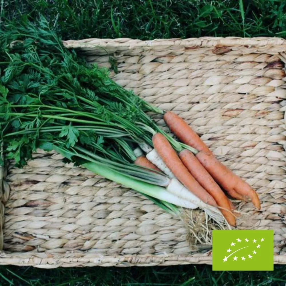 Włoszczyzna klasyczna EKO pęczek 1,2-1,5 kg