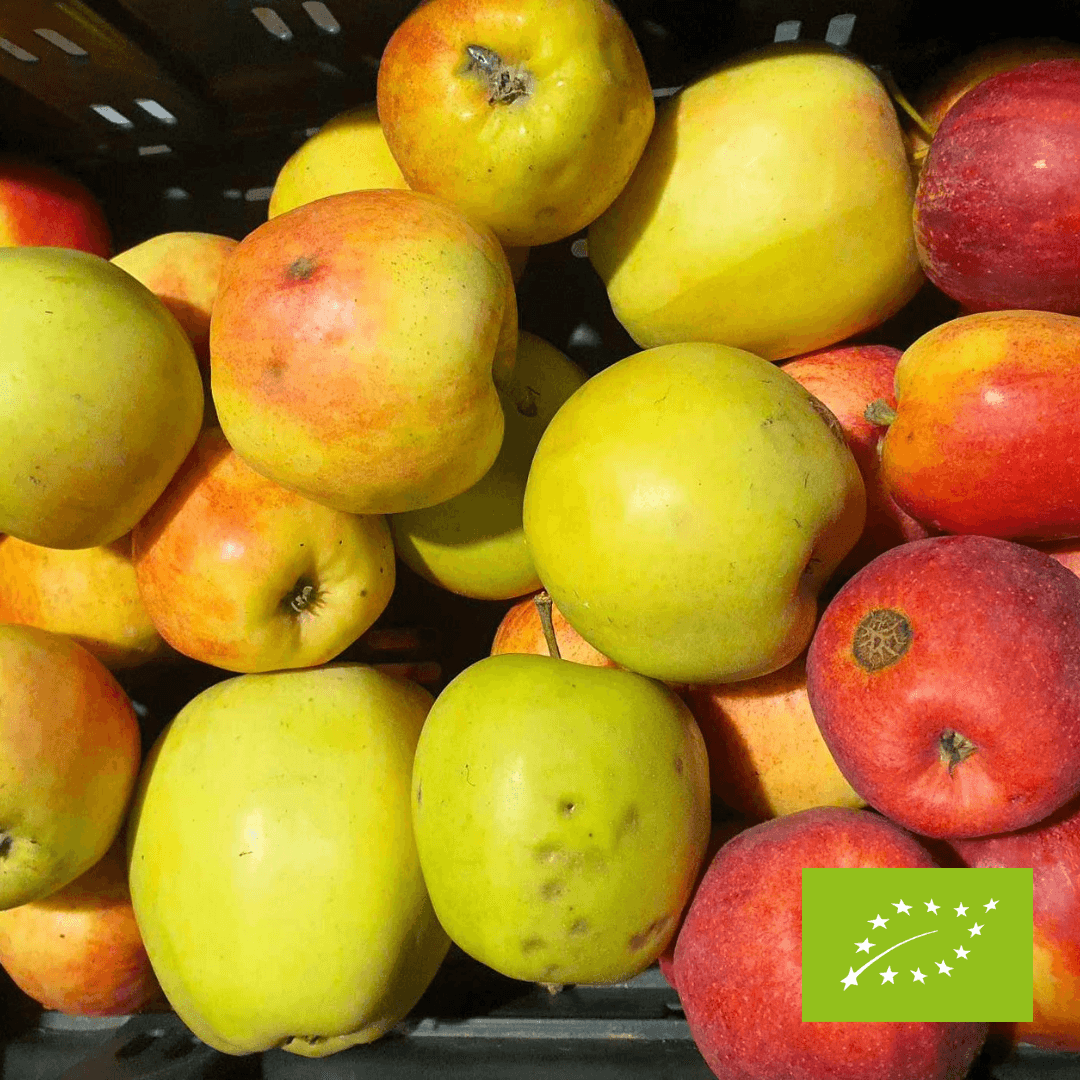 Nieperfekcyjna paczka owoców - jabłka EKO 4 kg