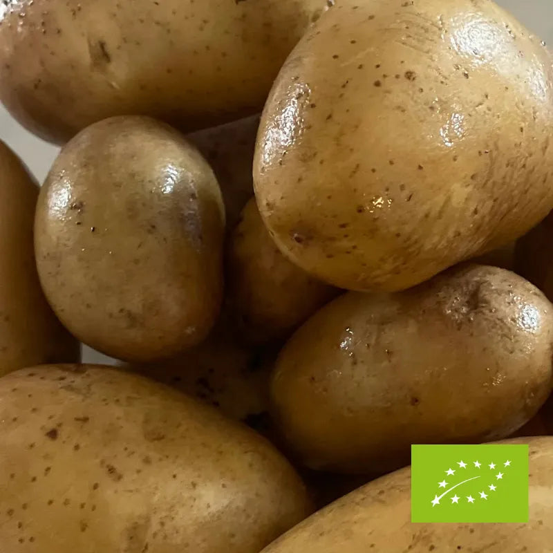 Ziemniaki queen anne EKO 1 kg