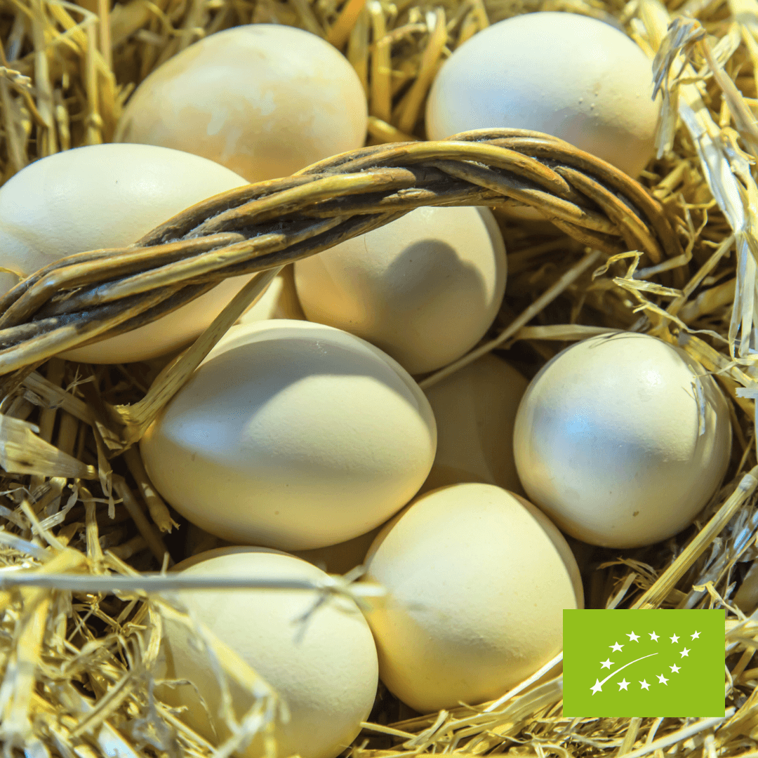 Jaja Ekologiczne od zielononóżki 10 szt.
