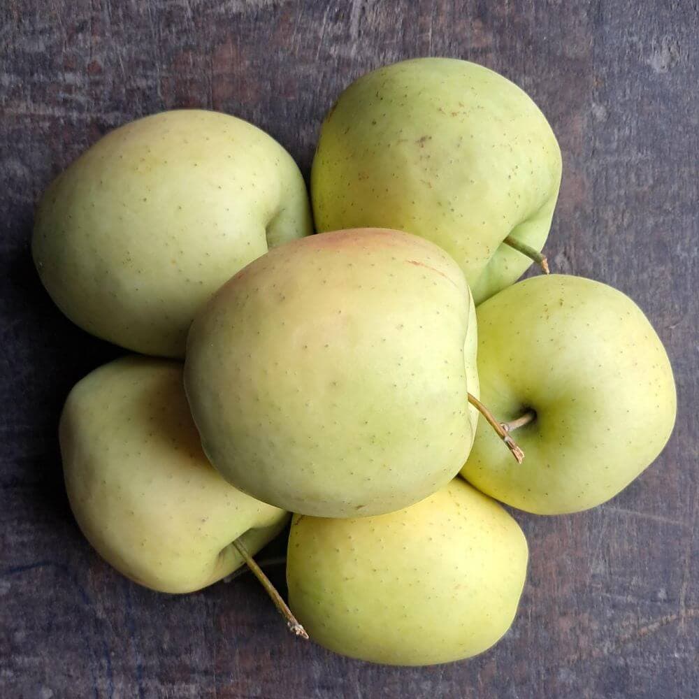 Jabłka Golden EKO 3 kg