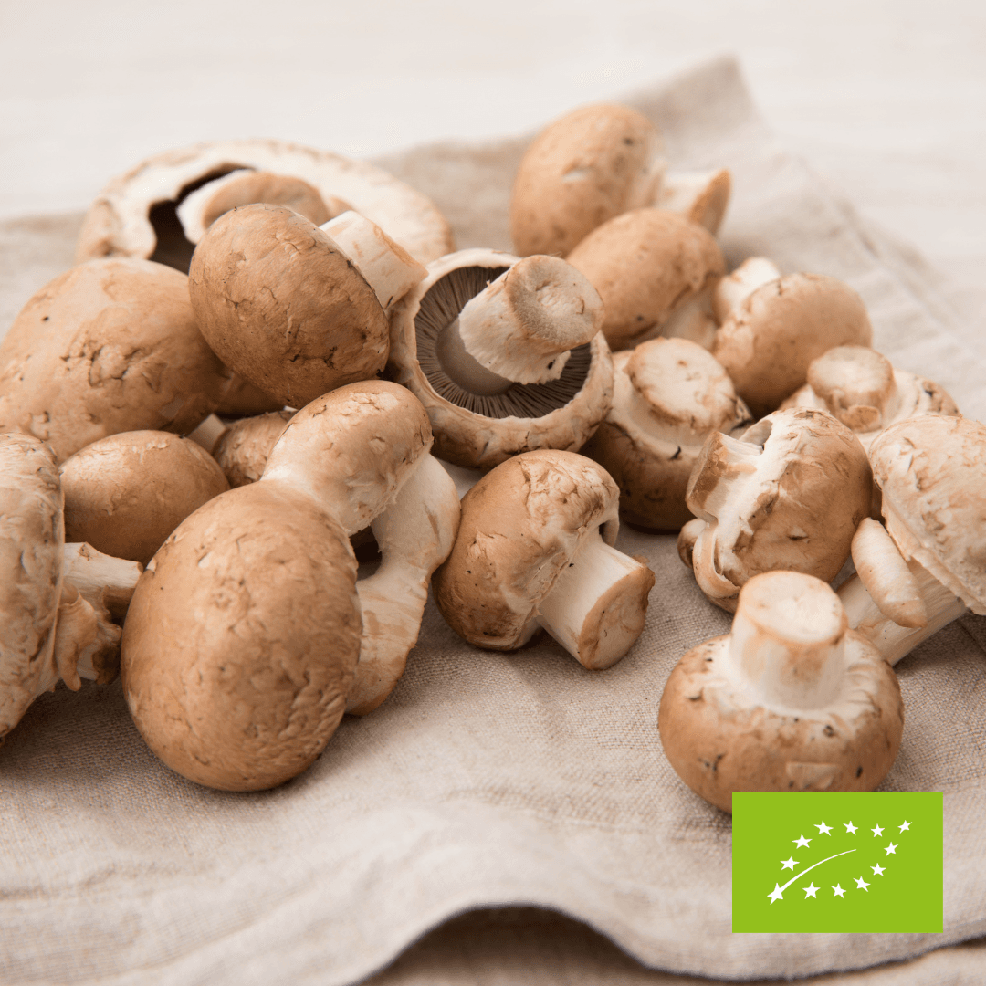 Pieczarki brązowe EKO ok. 250 g