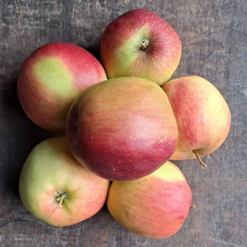 Jabłka Ligol EKO 3 kg