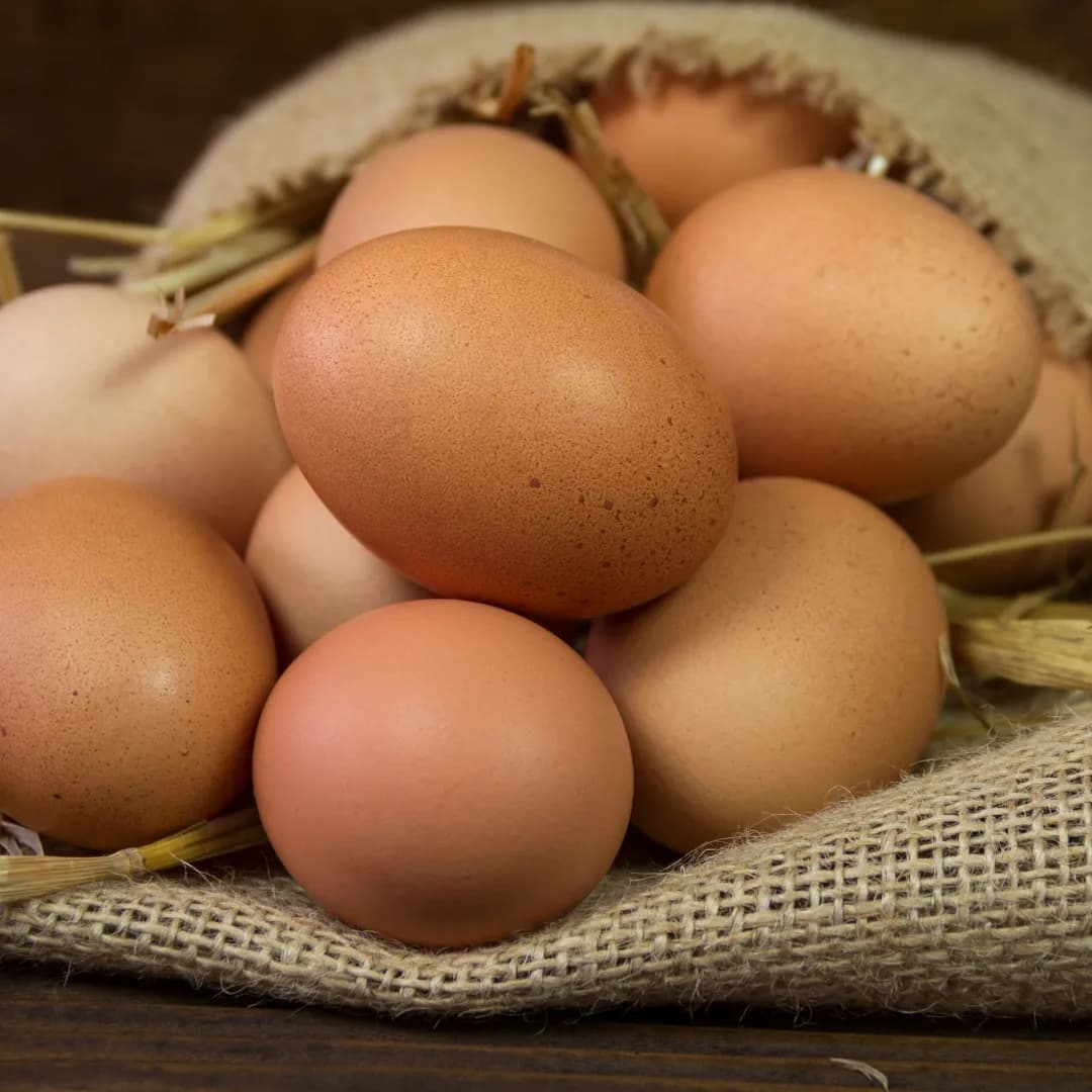 Jaja tradycyjne z chowu na wolnym wybiegu klasa wagowa M 10 szt.