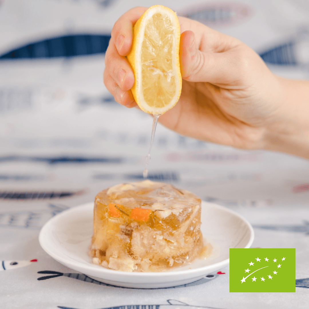 Karp w galarecie miodowej EKO 165 g