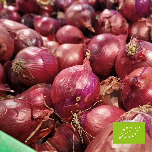 Cebula czerwona EKO 1 kg