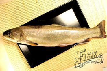 Pstrąg źródlany patroszony 500 g