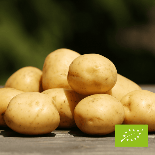 Ziemniaki Catania EKO 3 kg EKO