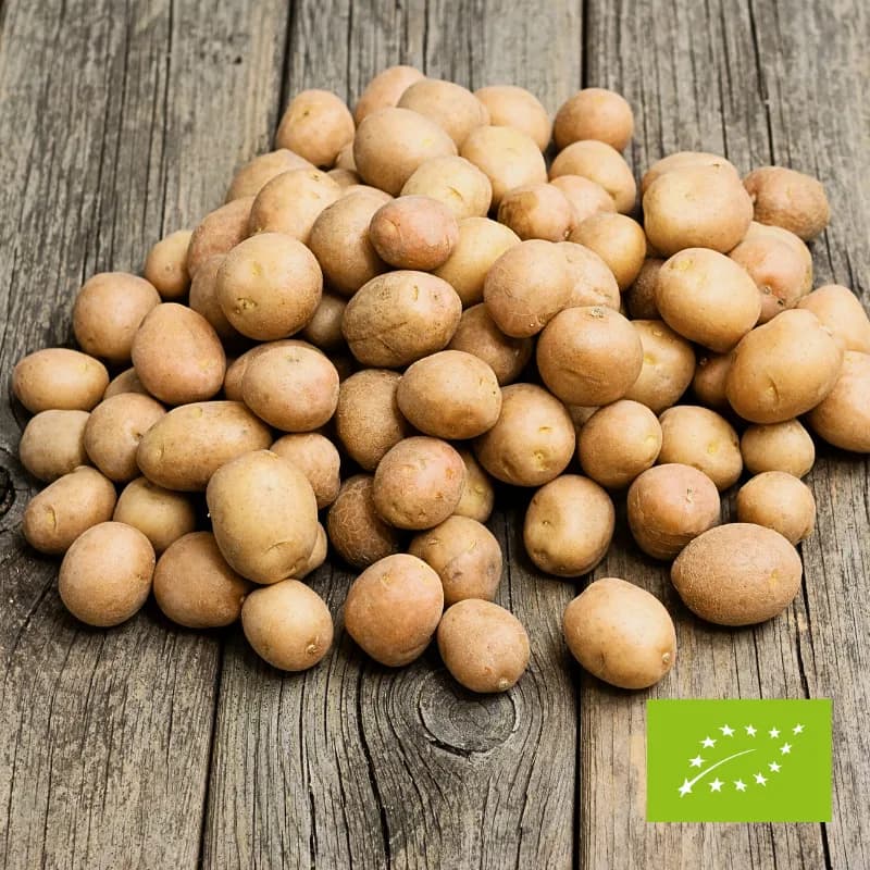 Ziemniaczki mini EKO 2 kg