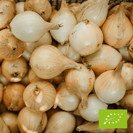 Cebula cukrowa EKO 500 g