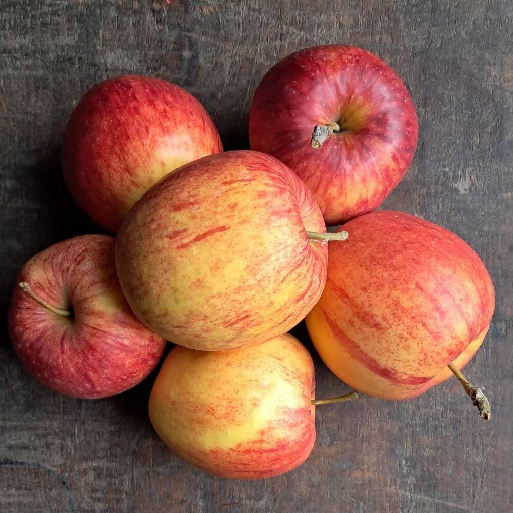 Jabłka Jonagored EKO 3 kg