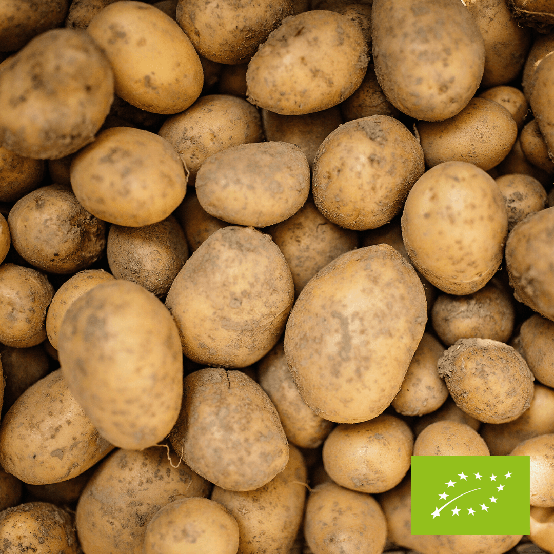 Ziemniaki żółte EKO 3 kg