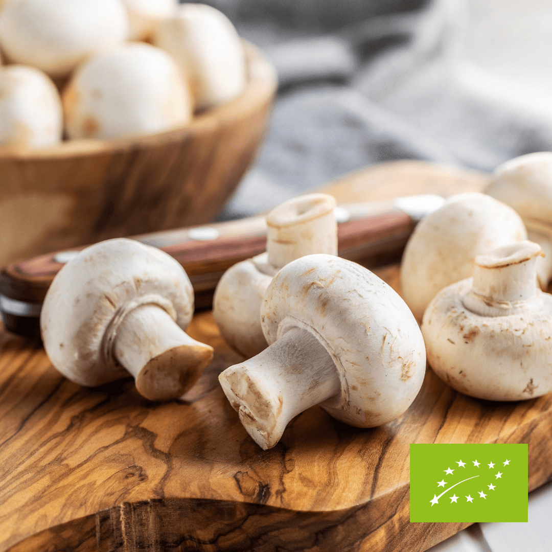 Pieczarki białe EKO ok. 250 g