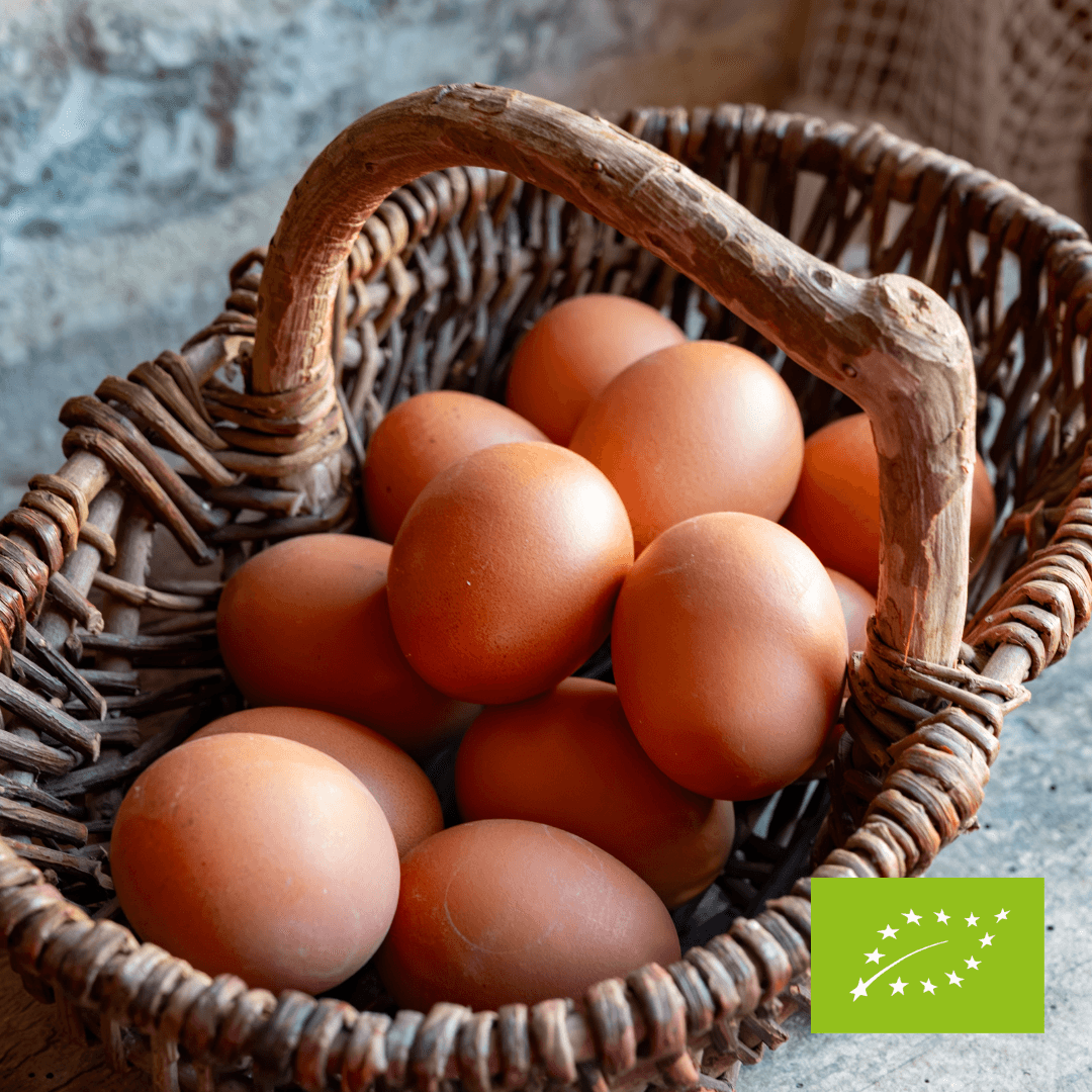 Jaja Ekologiczne wiejskie 10 szt.