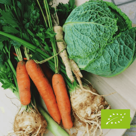 Włoszczyzna klasyczna z kapustą włoską EKO