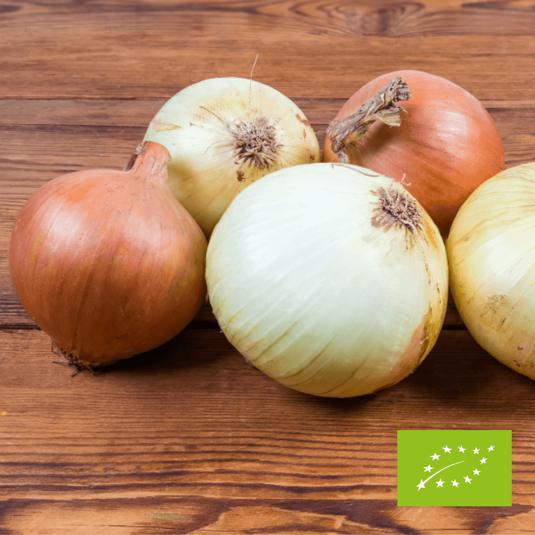 Cebula EKO 500 g