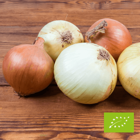 Cebula EKO 500 g