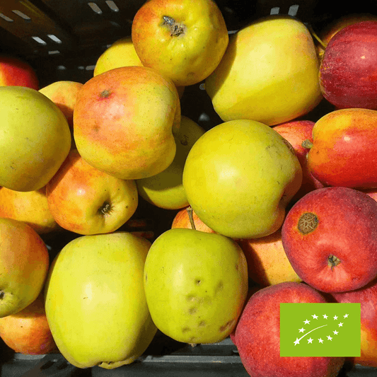 Nieperfekcyjna paczka owoców - jabłka EKO 4 kg