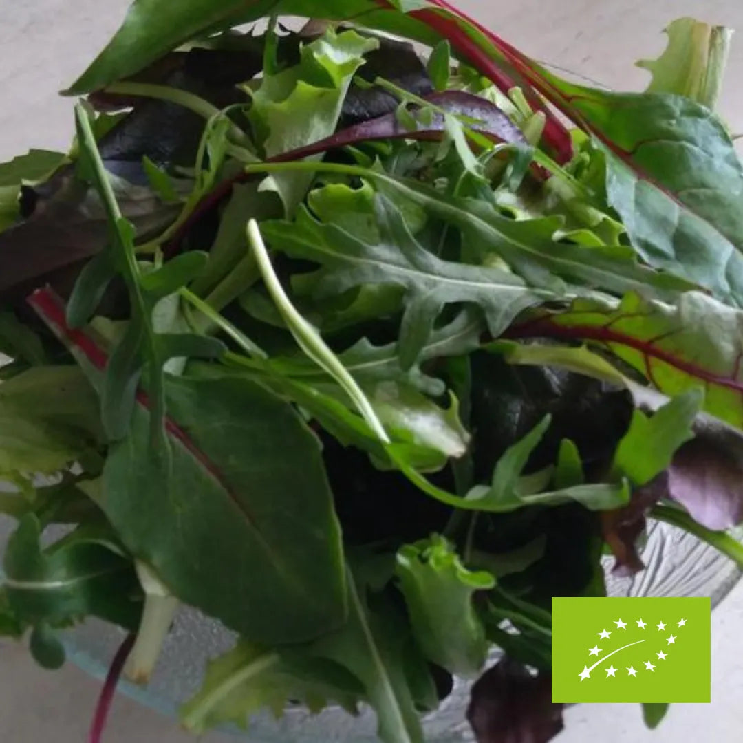 Mix Sałat Misticanza EKO 125 g