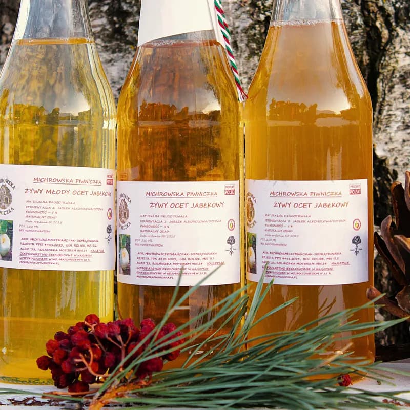 Żywy ocet jabłkowy EKO 250 ml