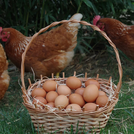 Jaja tradycyjne z chowu na wolnym wybiegu klasa wagowa M 30 szt.
